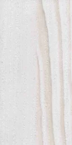 ALERCE BLANCO