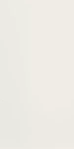 C BLANCO LISO ALEMAN