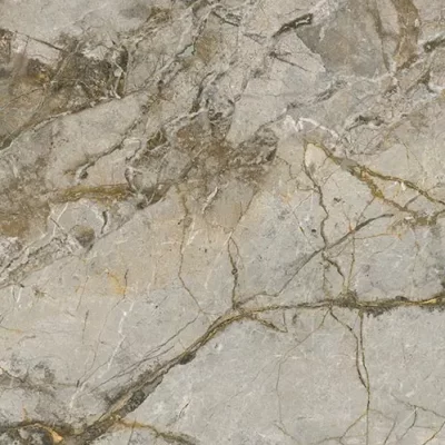 silver-roots-silver-roots-2